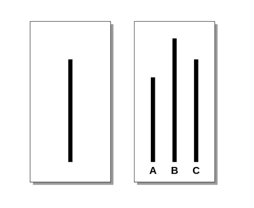 Graph 3